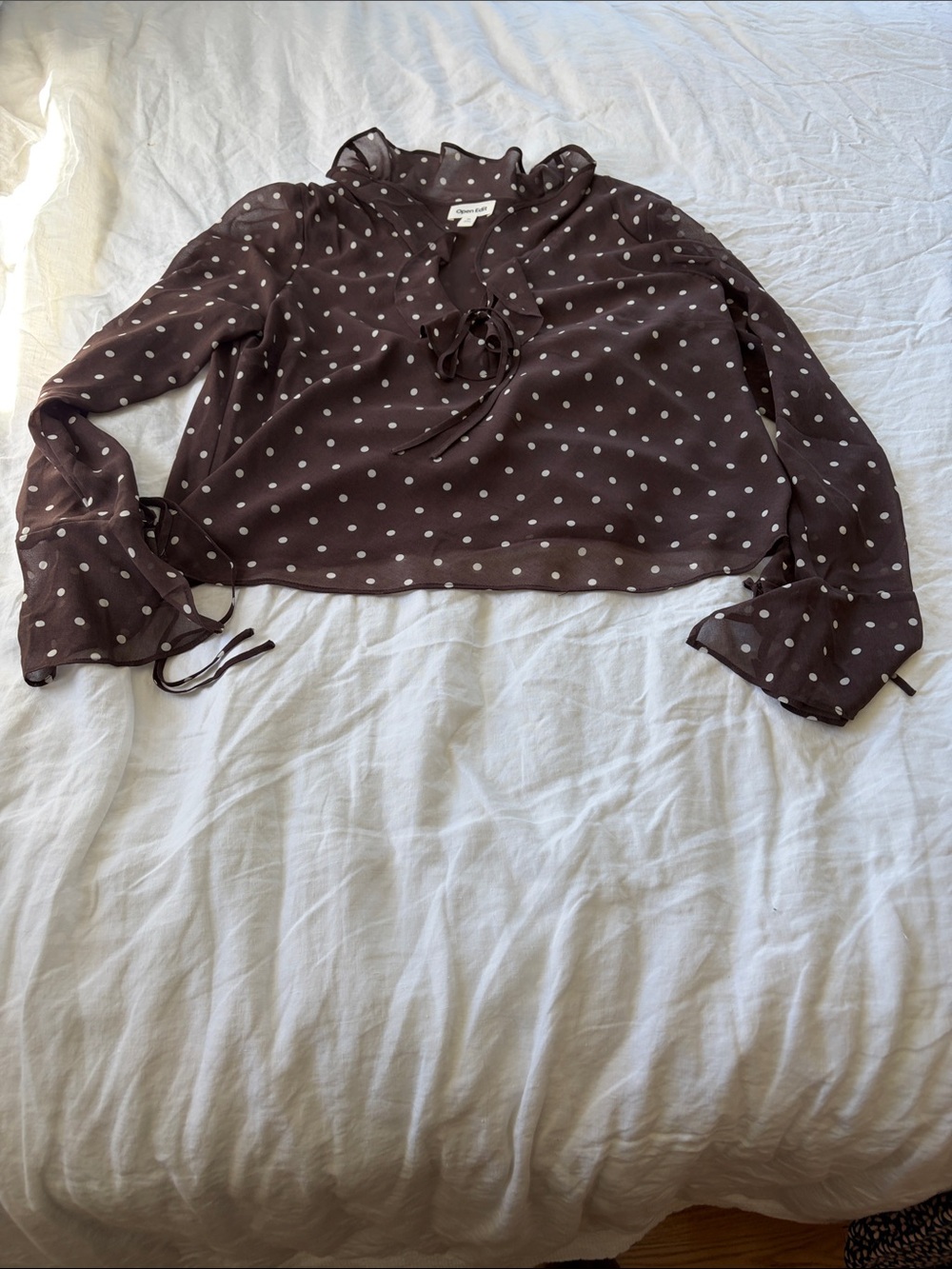 Sheer Brown Polka-Dot Ruffle Tie Blouse